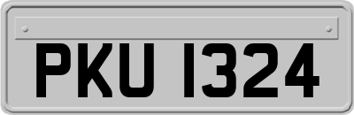 PKU1324