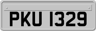 PKU1329