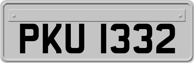PKU1332