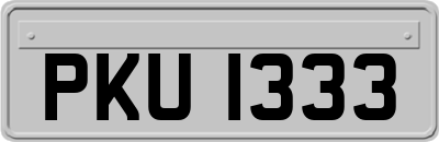 PKU1333