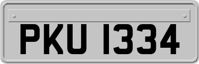 PKU1334