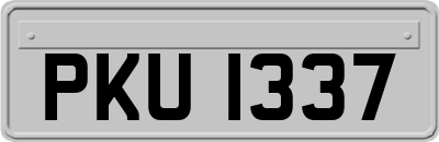 PKU1337