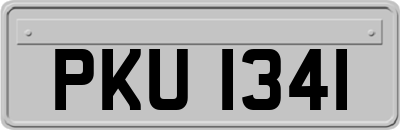 PKU1341