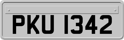 PKU1342