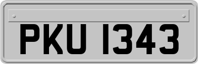 PKU1343