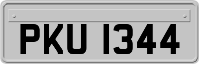 PKU1344
