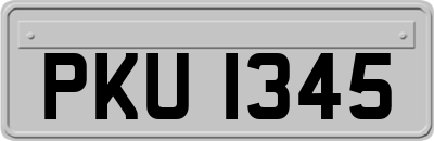 PKU1345
