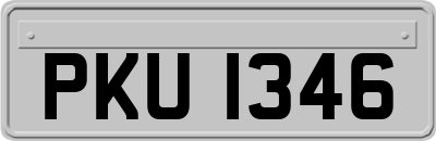 PKU1346