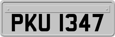 PKU1347