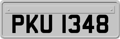 PKU1348