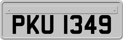 PKU1349