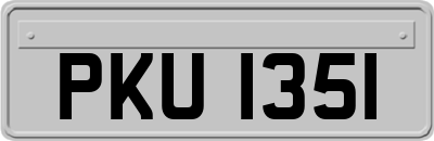 PKU1351