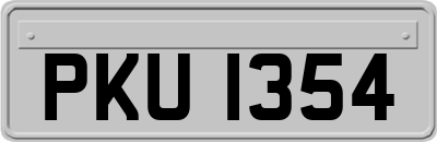 PKU1354