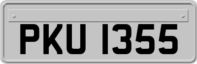 PKU1355