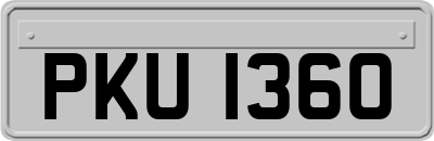 PKU1360