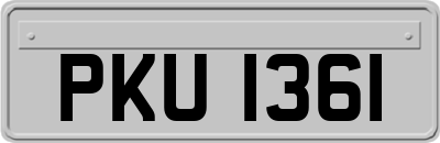 PKU1361