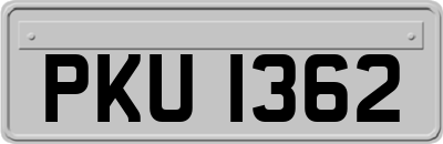PKU1362