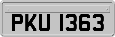 PKU1363