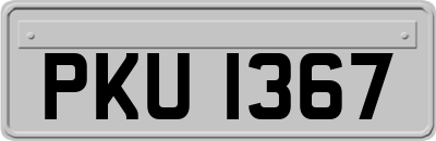 PKU1367