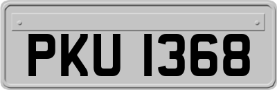 PKU1368