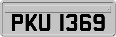PKU1369