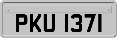 PKU1371