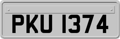 PKU1374