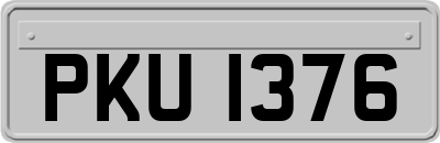 PKU1376