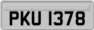 PKU1378