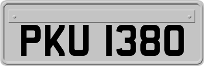 PKU1380