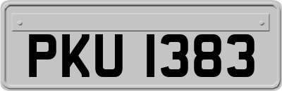 PKU1383