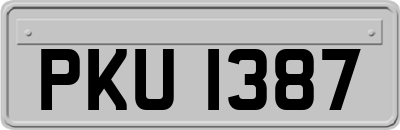 PKU1387