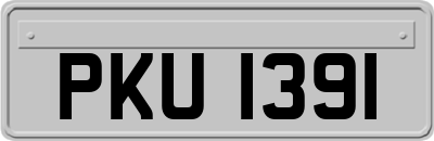 PKU1391