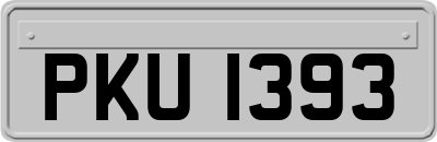 PKU1393