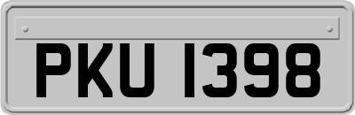 PKU1398