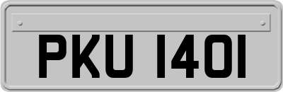 PKU1401