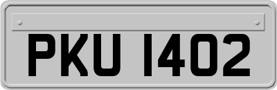 PKU1402