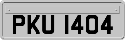 PKU1404