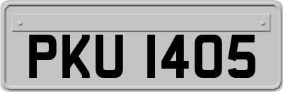 PKU1405