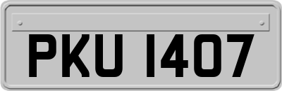 PKU1407
