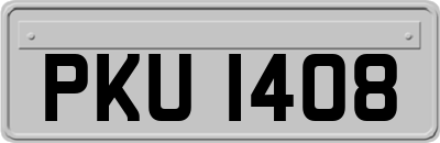 PKU1408