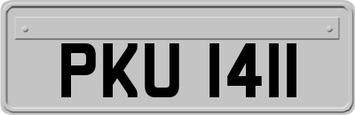 PKU1411
