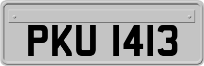 PKU1413