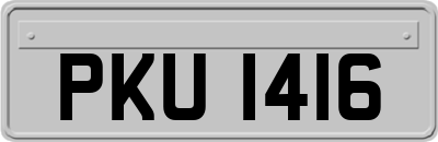 PKU1416