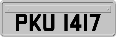 PKU1417