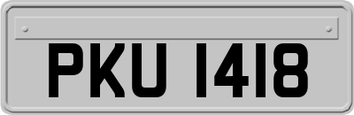 PKU1418