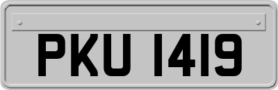 PKU1419