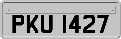 PKU1427