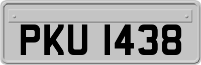 PKU1438