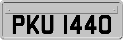 PKU1440